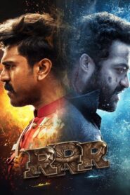 RRR (2022) Hindi HD