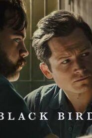 Black bird All Season HD 1080p 2022