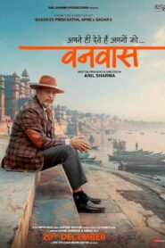 Vanvaas 2024 Hindi 1080p