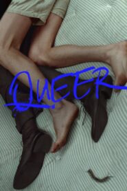 Queer 2024 Hindi Dubbed