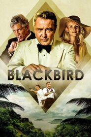 Blackbird 2022 MultiAudio HD 1080p