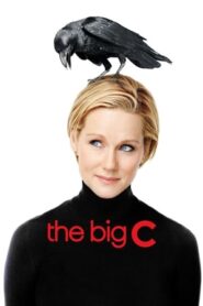 The Big C (2010-2013)