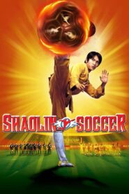 Shaolin Soccer (2001) Hindi Dubbed HD 1080p
