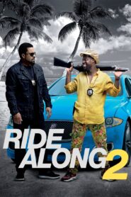 Ride Along 2 (2016) HQ Hindi Dubbed