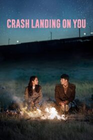 Crash Landing on You (2019) Hindi Season 1 Complete Netflix