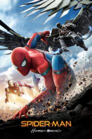 Spider-Man: Homecoming (2017) Dual Audio (Hin+Eng) HD