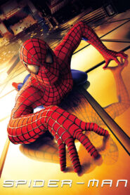 Spider-Man (2002) Dual Audio (Hin+Eng) HD