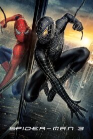 Spider-Man 3 (2007) Dual Audio (Hin+Eng) HD