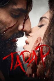 Tadap (2021) Hindi Dubbed 4k 2160p