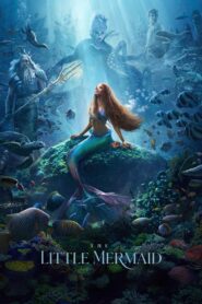 The Little Mermaid (2023) DualAudio (Hin+Eng) HD