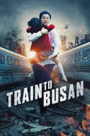 Train to Busan (2016) DualAudio (Hin-Eng) HD